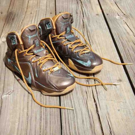 Custom LeBronze 12 EXT