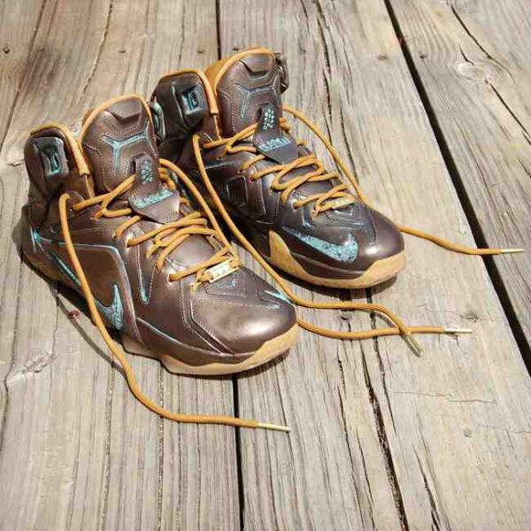 Custom LeBronze 12 EXT