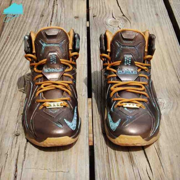 Custom LeBronze 12 EXT - Image 7